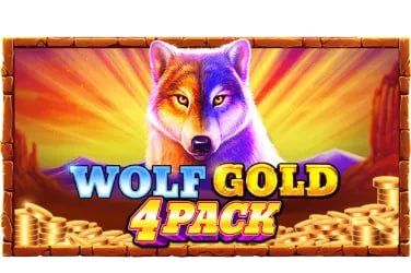 Card Games